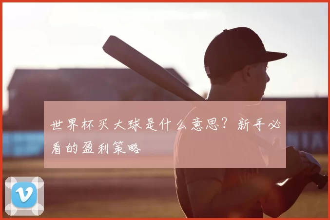 世界杯买大球是什么意思？新手必看的盈利策略