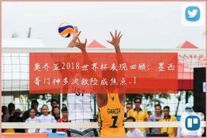 奥乔亚2018世界杯表现回顾:墨西哥门神多次救险成焦点_1