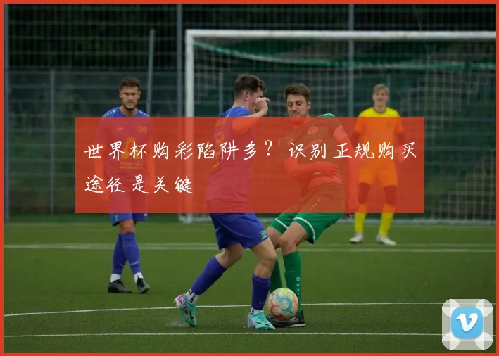 世界杯购彩陷阱多?识别正规购买途径是关键