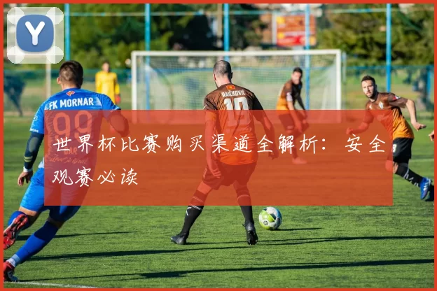 世界杯比赛购买渠道全解析:安全观赛必读