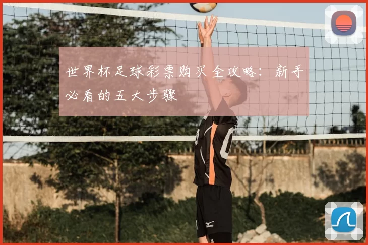世界杯足球彩票购买全攻略：新手必看的五大步骤