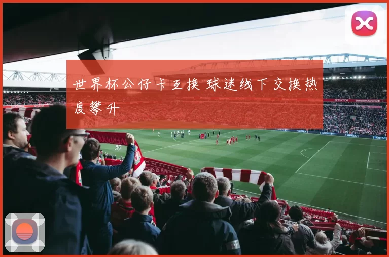 世界杯公仔卡互换 球迷线下交换热度攀升