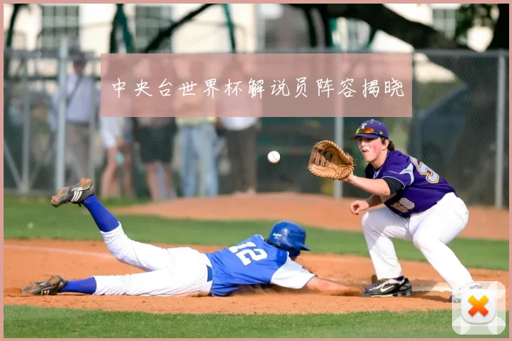 中央台世界杯解说员阵容揭晓