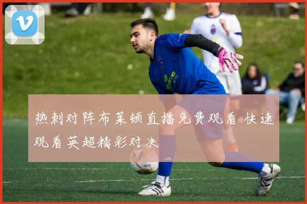 热刺对阵布莱顿直播免费观看 快速观看英超精彩对决