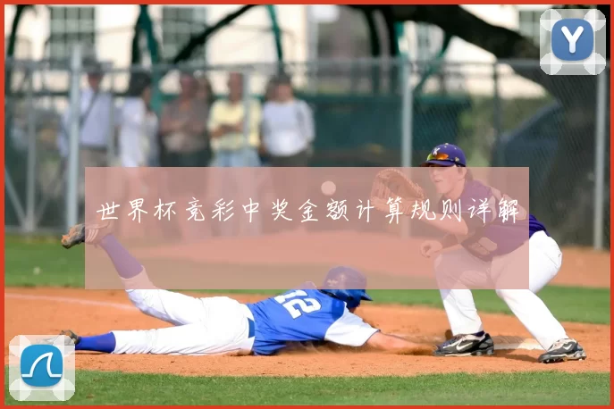 世界杯竞彩中奖金额计算规则详解
