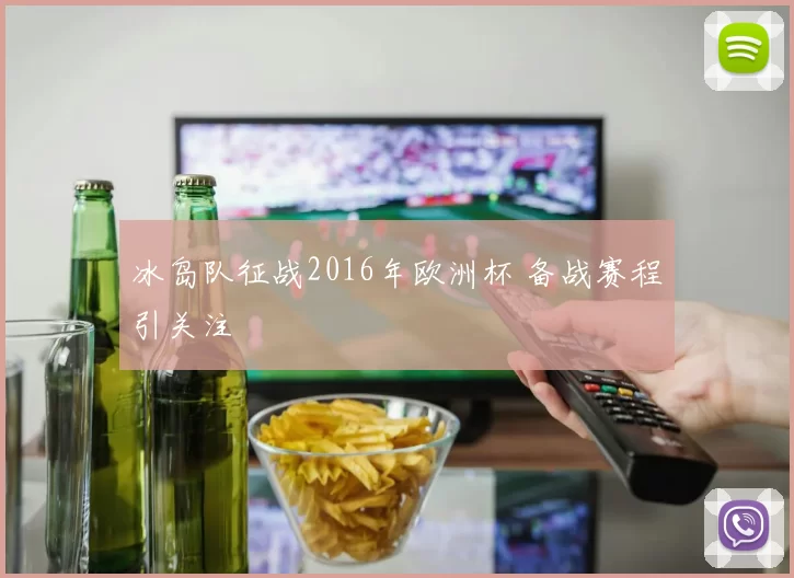 冰岛队征战2016年欧洲杯 备战赛程引关注