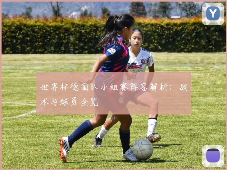 世界杯德国队小组赛阵容解析:战术与球员全览