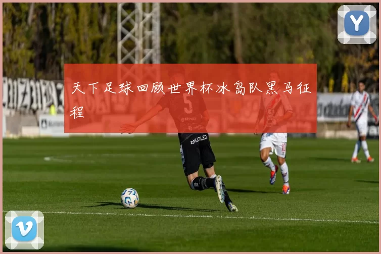 天下足球回顾世界杯冰岛队黑马征程